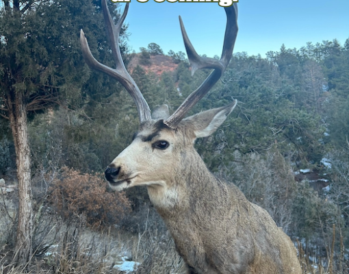 Great news! More hunting opportunities are coming!